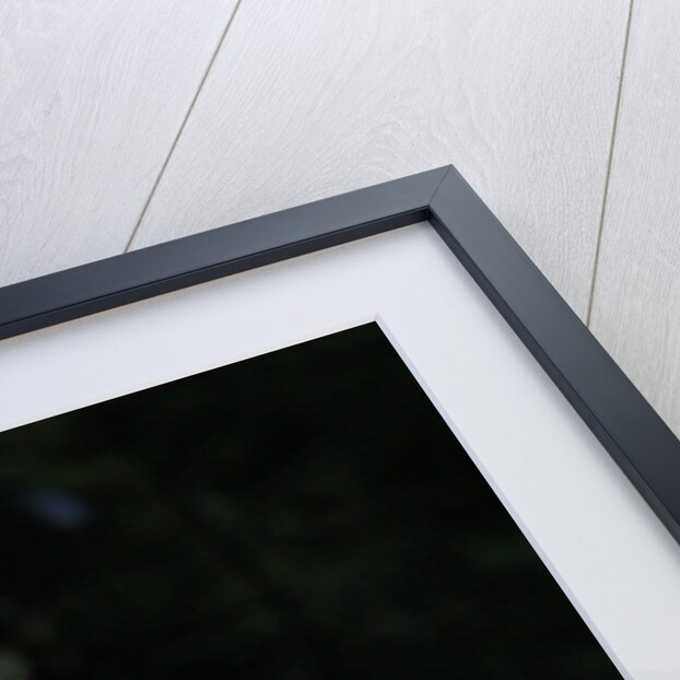 Mastodon - Troy Sanders by L. Paul Mann